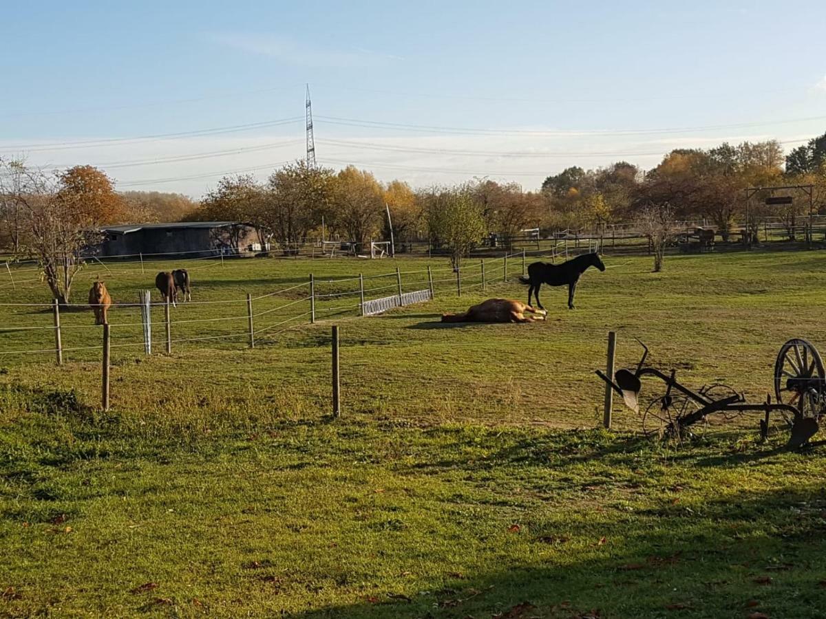 Appartamento Muehlenberger Ponyhof Duisburgo Esterno foto